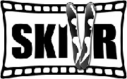 Magasin Skivr