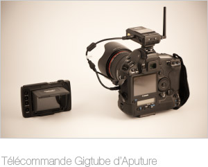 T&eacute;l&eacute;commande Gigtube d'Apurture