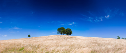 Photo panoramique allongée