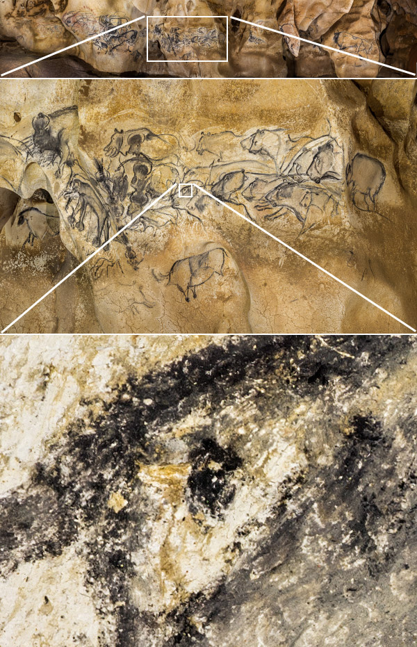 Agrandissement d'un détail de la photo panoramique haute définition du panneau des Lions de la grotte Chauvet par Arnaud Frich Agrandissement d'un détail de la photo panoramique haute définition du panneau des Lions de la grotte Chauvet par Arnaud Frich