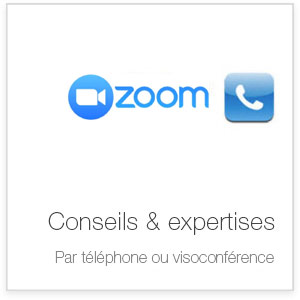 Conseils et expertises par téléphone ou par visioconférence sur la création de visites virtuelles 360