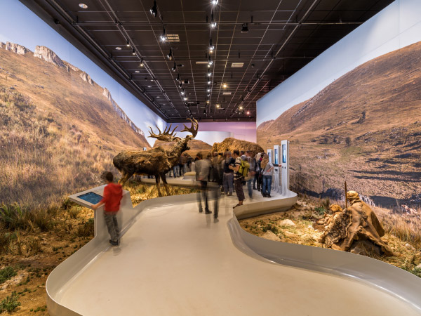 Galerie de l'Aurignacien à la grotte Chauvet 2 - Photo du décor par Arnaud Frich Galerie de l'Aurignacien à la grotte Chauvet 2 - Photo du décor par Arnaud Frich