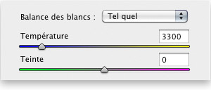 Balance des blancs dans Camera Raw