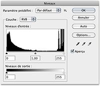 Niveau dans Photoshop
